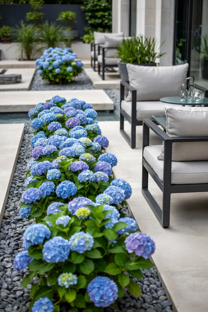 Hydrangea Garden Design 2026: Modern Landscaping Ideas for Beautiful Front Yards and Pool Gardens
