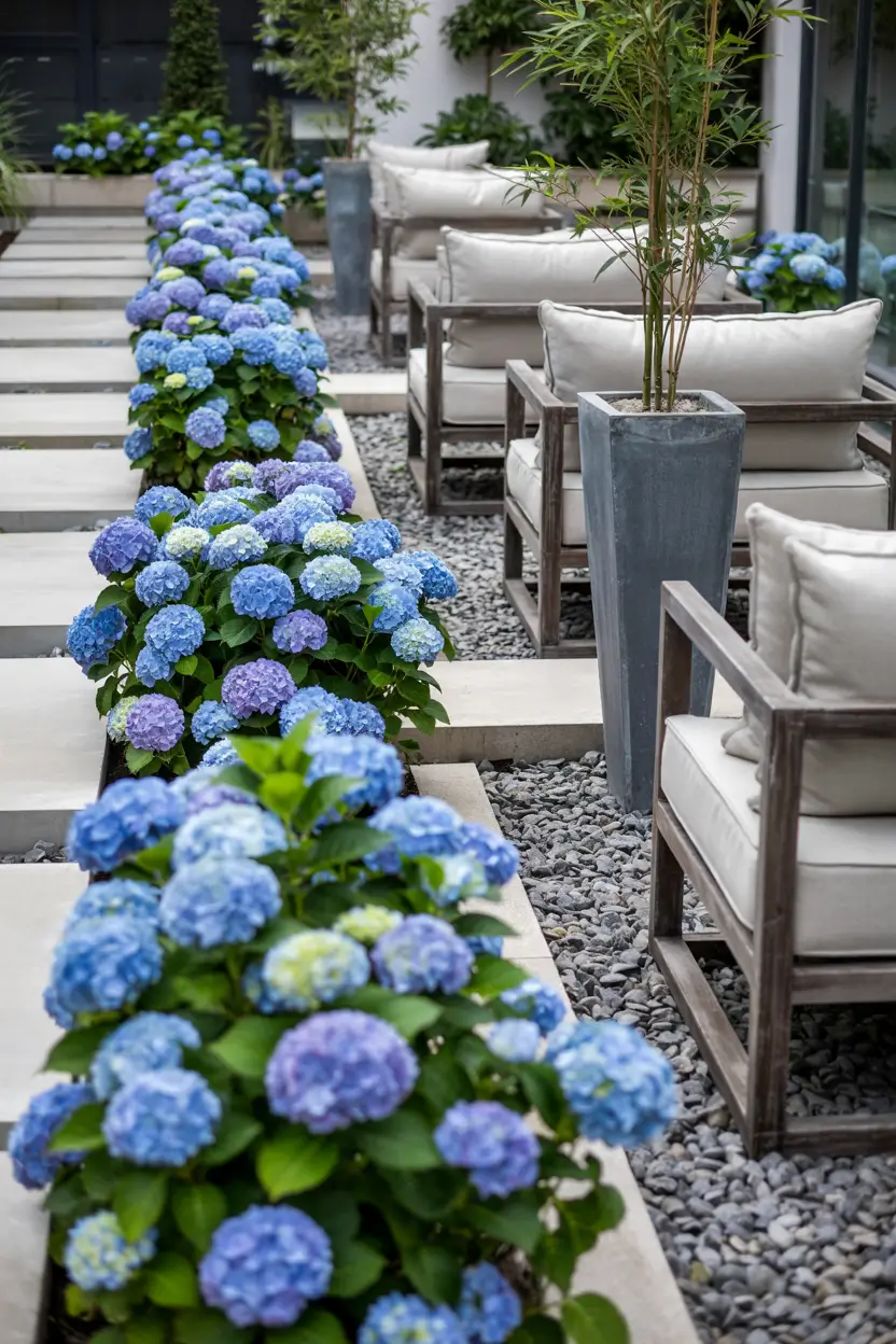 Hydrangea Garden Design 2026: Modern Landscaping Ideas for Beautiful Front Yards and Pool Gardens