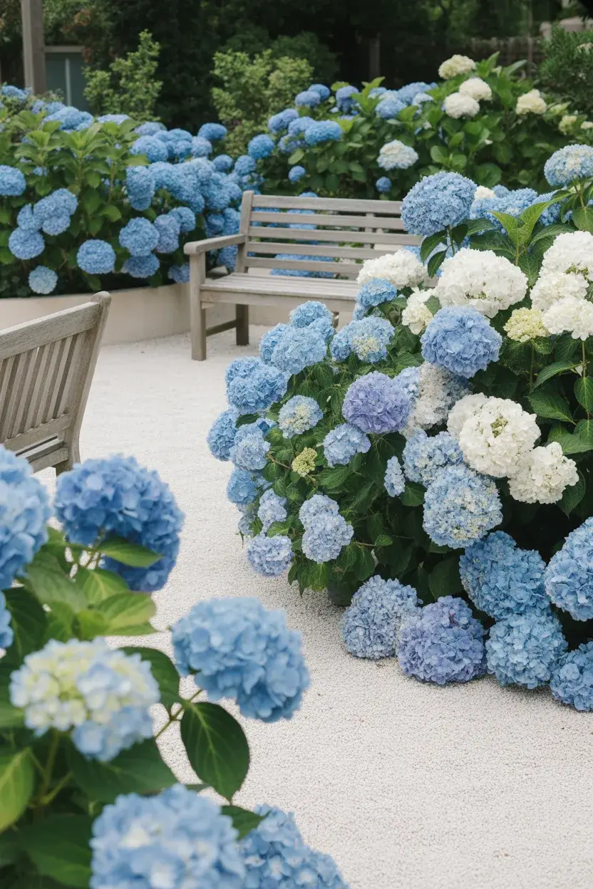 Summer Garden Flowers Ideas 2026: Aesthetic Designs for Beds, Pots & Front Yards