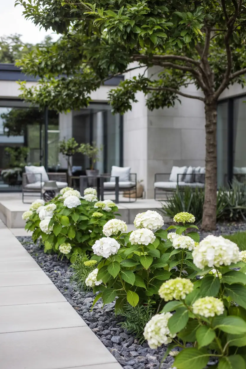 Hydrangea Garden Design 2026: Modern Landscaping Ideas for Beautiful Front Yards and Pool Gardens