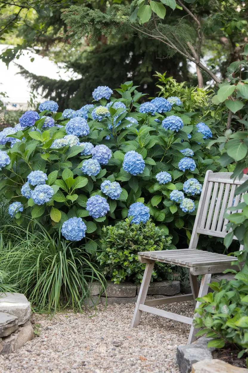 Hydrangea Garden Design 2026: Modern Landscaping Ideas for Beautiful Front Yards and Pool Gardens